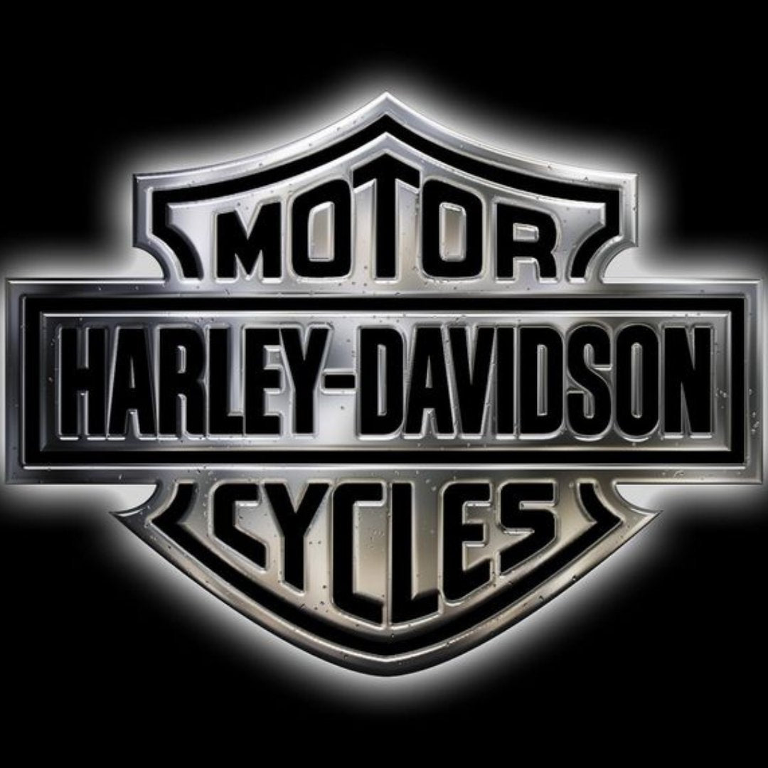 HARLEY-DAVIDSON FORK TUBES